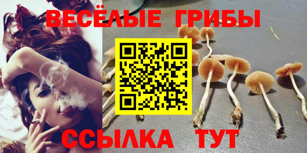 Галлюциногенные грибы Psilocybine cubensis  Вход с VPN  Холмск 