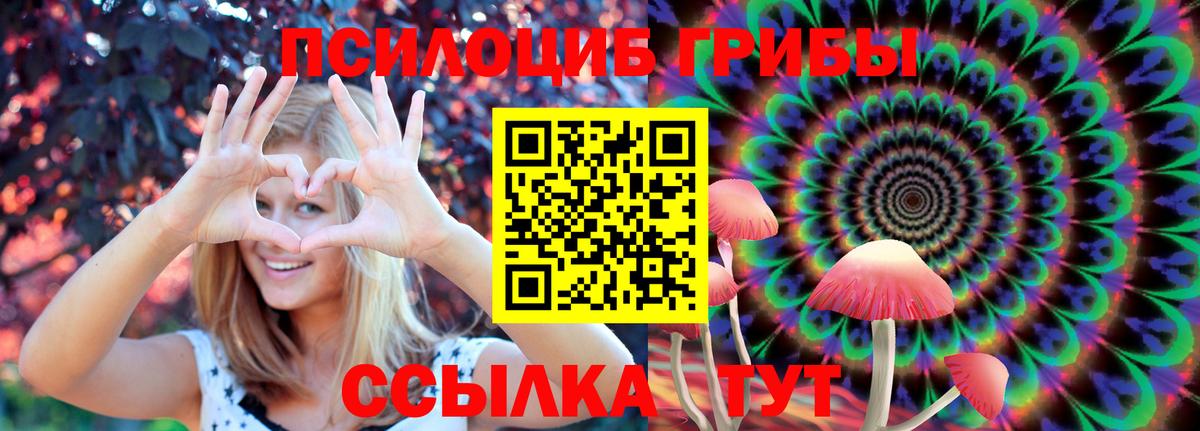 Галлюциногенные грибы GOLDEN TEACHER Холмск